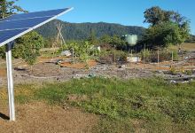 Whitsunday Organic Community Gardens景点图片