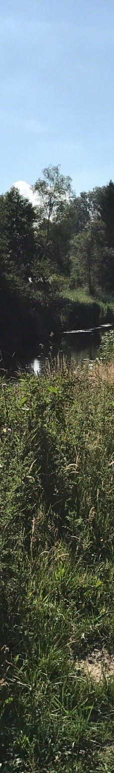 Park De Wezenlanden-兹沃勒