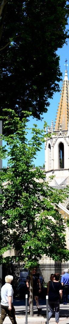 共和大道-阿维尼翁