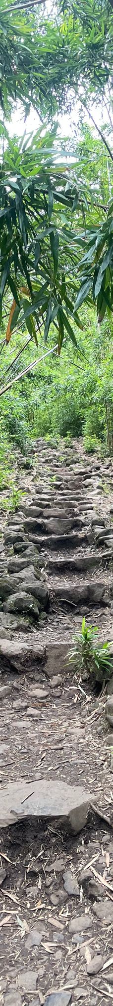 皮皮崴小径-茂宜县