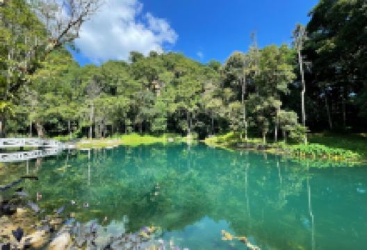 Tum Luang-Khun Naam Naang Norn Forest Park景点图片