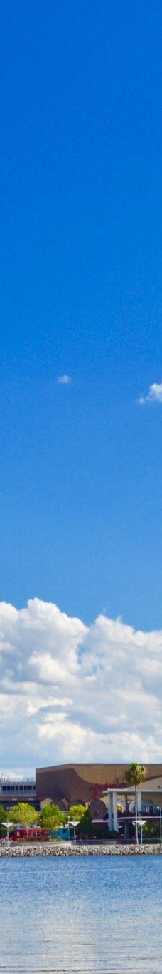 在飞行中的角色-博伟湖