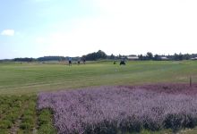 Golfclub de Hildenberg景点图片