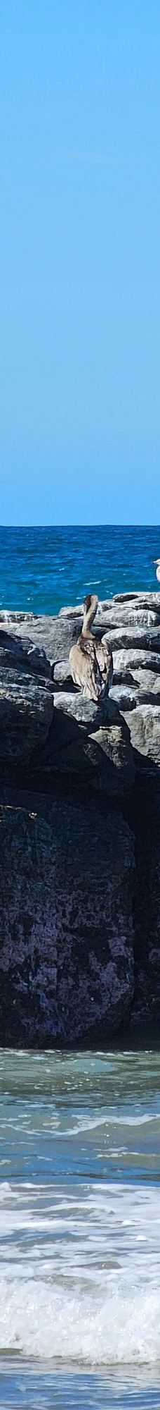 Punta Lobos-拉巴斯