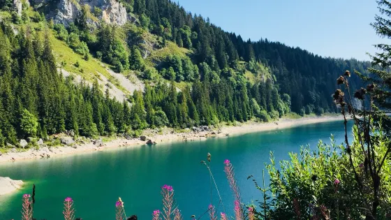 Lac de Tanay