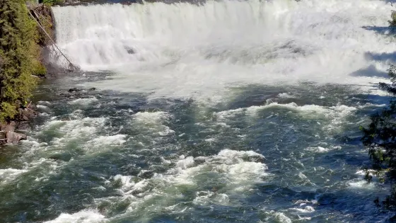 Dawson Falls