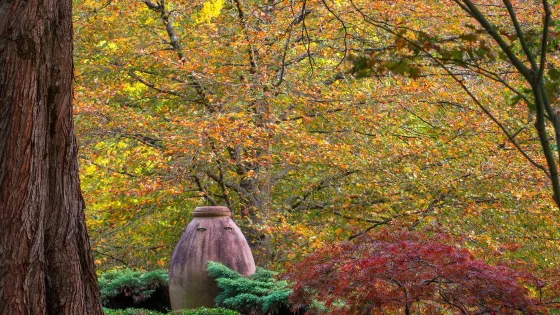 Windyridge Garden