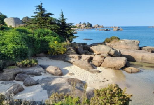 Sentier de L'ile Renote景点图片