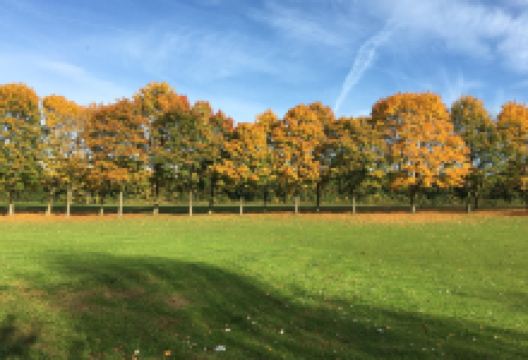 Fairlands Valley Park景点图片