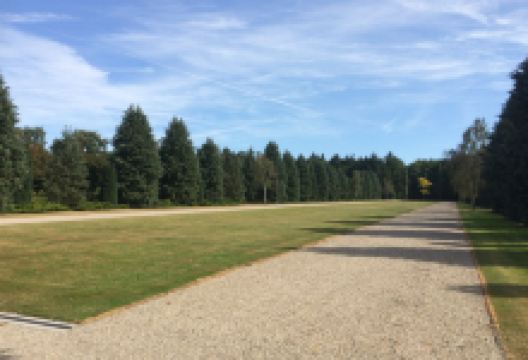 Begraafplaats Zuiderhof景点图片