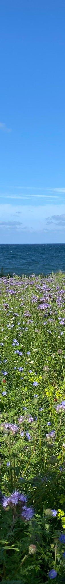 Helnæs Lighthouse-埃伯鲁普
