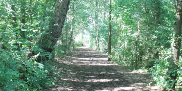 Angelteich Vroonplas