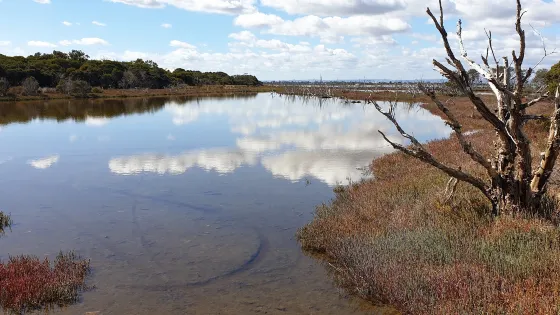 Len Howard Conservation Park