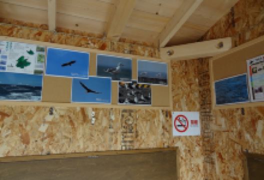 花咲岬景点图片