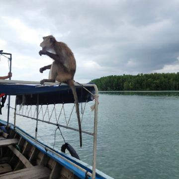 泰国甲米+兰塔岛4日3晚自由行