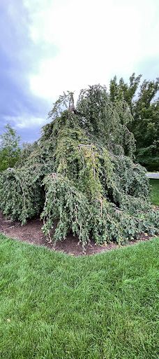 犹他廷帕诺戈斯山圣殿-亚美利加福克