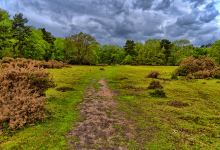 West Stow Country Park景点图片