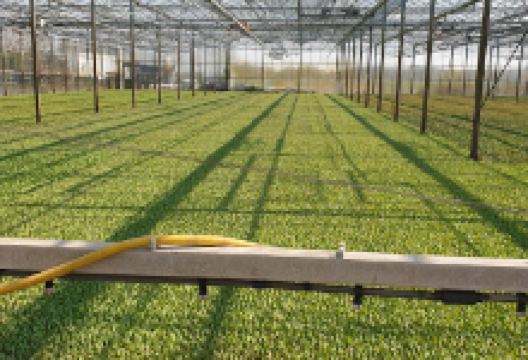 Tuincentrum Doff购物图片