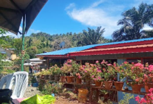 Kampung Telaga Tujuh景点图片