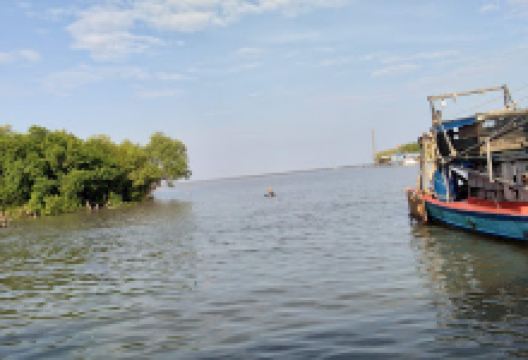 Cá Khô Khoai Cái Đôi购物图片