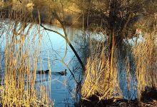 Aire De Jeux De L Etang Des Aisses景点图片