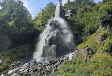 Naturerlebnis Truse Park景点图片