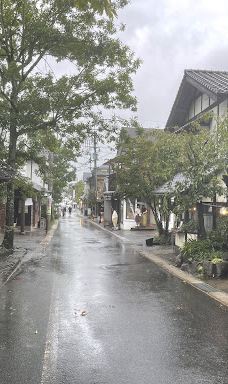 汤之坪街道-由布市