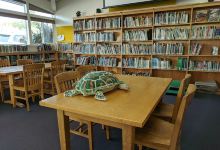 Fortuna Library景点图片