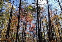 Lost Twin Lakes Hiking Trailhead景点图片