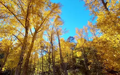 Area Recreativa La Rosandrà