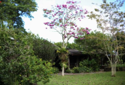 Kahaluʻu Gallery and Gardens景点图片