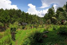 Taman Wisata Pringgodani景点图片