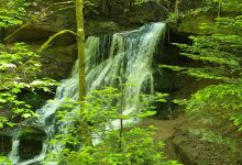 BAG-Hohenlohe-Raiffeisen eG购物图片