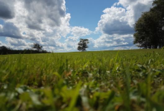 Parkdale-Maplewood Community Museum景点图片