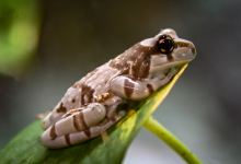 Reptiles for Education景点图片