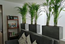 Green Boutique购物图片