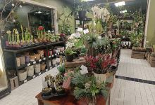 Lakeuden Vihertaimisto Oy购物图片