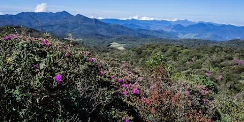 Thotupola Mountain of Sri Lanka