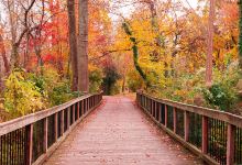 बाबा कोटवा प्रभु जगजीवन दास महाराज景点图片