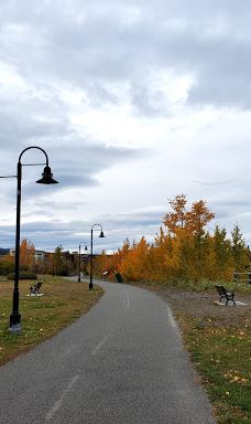 Shipyards Park-怀特霍斯