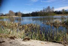 Voika Vesiveski景点图片