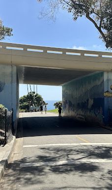 Salt Creek Beach-达纳点