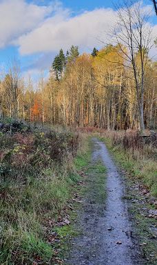 Duns Castle Nature Reserve-邓斯
