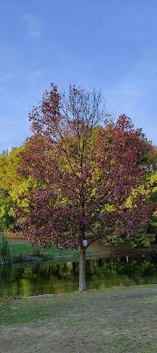 Parco della Pellerina-都灵