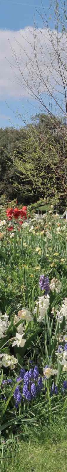 海德公园-伦敦-YoYo_2Z6R7X2Q