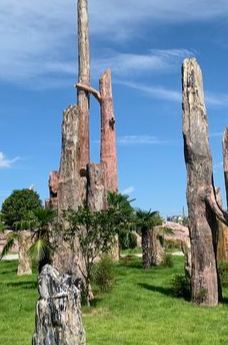 黄石华侨城恐龙奇域-大冶