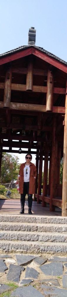 黄石华侨城恐龙奇域-大冶