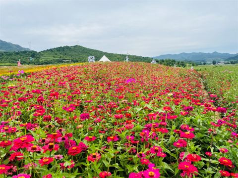 牧蓝谷景区 · 承德市 · 景点