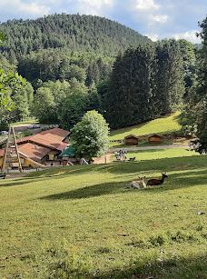Südliche weinstraße wildlife park-南魏恩斯特拉瑟县