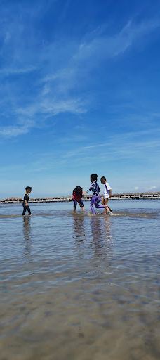 宝贝沙滩-日内瓦